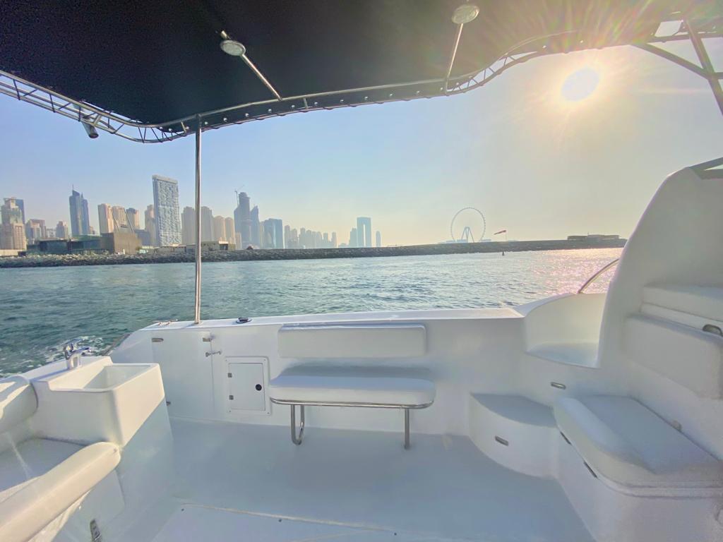 Walkaround 31ft Fishing