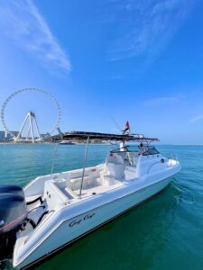 31ft Elite (Elite Pearl)